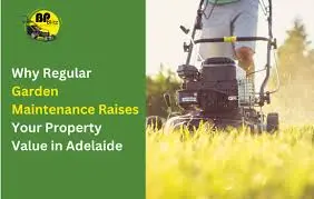 BP Blitz Garden Maintenance and Landscaping Services